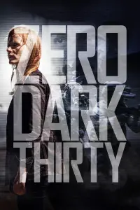 Poster to the movie "Zero Dark Thirty" #248592