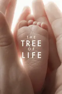 Poster to the movie "The Tree of Life" #118899