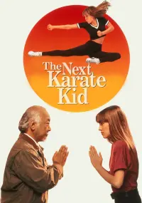 Poster to the movie "The Next Karate Kid" #63669