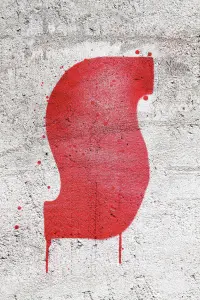 Poster to the movie "Suspiria" #252076