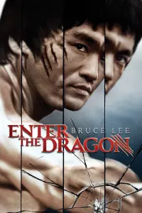 Poster to the movie "Enter the Dragon" #65976