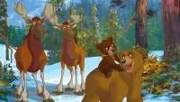 Backdrop to the movie "Brother Bear 2" #323525