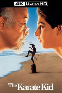 Poster to the movie "The Karate Kid" #60698