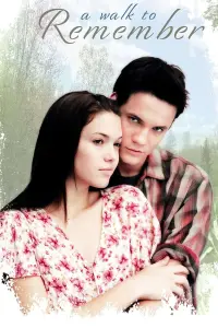 Poster to the movie "A Walk to Remember" #75748