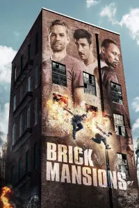 Poster to the movie "Brick Mansions" #89455