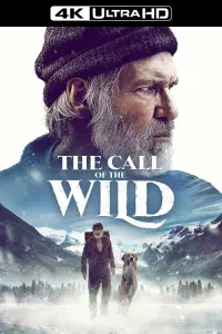 Poster to the movie "The Call of the Wild" #59410