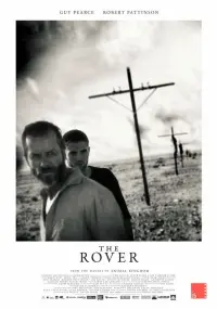 Poster to the movie "The Rover" #385376