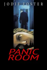 Poster to the movie "Panic Room" #264209