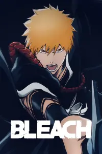 Poster to the movie "Bleach the Movie: Memories of Nobody" #552920