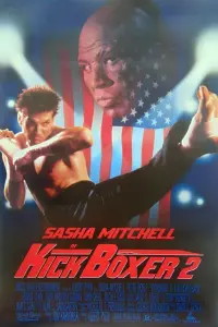 Poster to the movie "Kickboxer 2: The Road Back" #159248