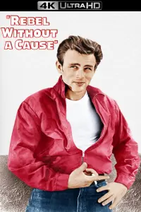 Poster to the movie "Rebel Without a Cause" #121100