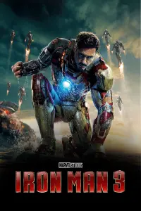 Poster to the movie "Iron Man 3" #21314