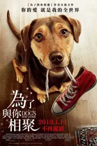 Poster to the movie "A Dog