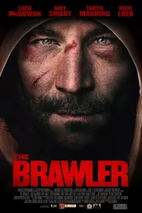 Poster to the movie "The Brawler" #317201