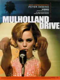 Poster to the movie "Mulholland Drive" #597992