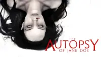 Backdrop to the movie "The Autopsy of Jane Doe" #69843