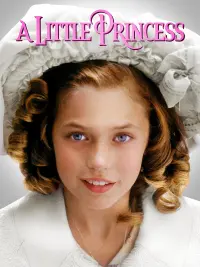 Poster to the movie "A Little Princess" #92712