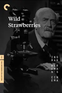 Poster to the movie "Wild Strawberries" #177611