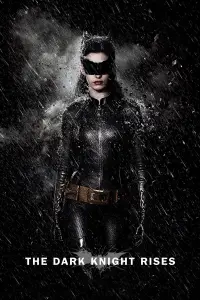 Poster to the movie "The Dark Knight Rises" #155463