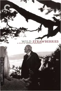 Poster to the movie "Wild Strawberries" #177619