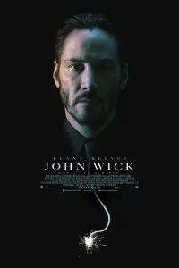 Poster to the movie "John Wick" #51559