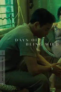 Poster to the movie "Days of Being Wild" #144112