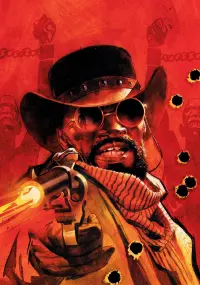 Poster to the movie "Django Unchained" #176393