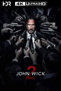 Poster to the movie "John Wick: Chapter 2" #169162