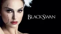 Backdrop to the movie "Black Swan" #61765