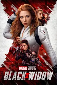 Poster to the movie "Black Widow" #23576