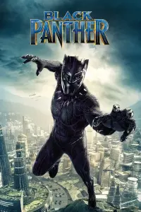 Poster to the movie "Black Panther" #430174