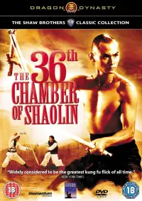 Poster to the movie "The 36th Chamber of Shaolin" #213860