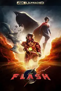 Poster to the movie "The Flash" #3734