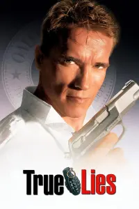 Poster to the movie "True Lies" #242847