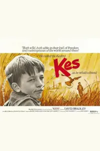 Poster to the movie "Kes" #211588