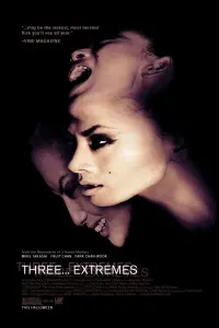 Poster to the movie "Three… Extremes" #261535