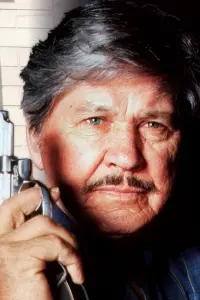 Poster to the movie "Death Wish V: The Face of Death" #545866