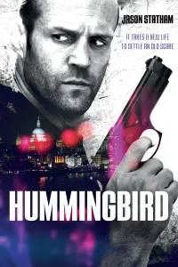 Poster to the movie "Hummingbird" #53900