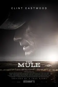 Poster to the movie "The Mule" #69736