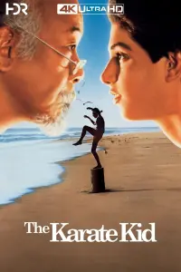 Poster to the movie "The Karate Kid" #234089