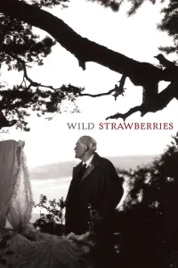 Poster to the movie "Wild Strawberries" #177606