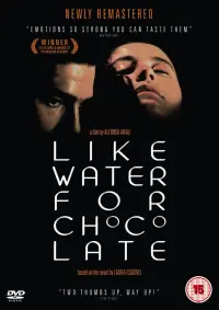 Poster to the movie "Like Water for Chocolate" #133906