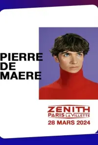 Poster to the movie "Pierre de Maere en concert au Zénith de Paris" #504657