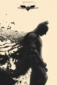 Poster to the movie "The Dark Knight" #616263