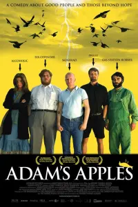 Poster to the movie "Adam