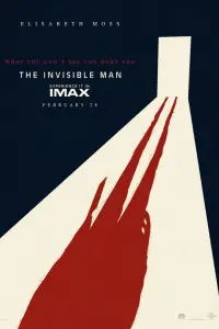 Poster to the movie "The Invisible Man" #238354