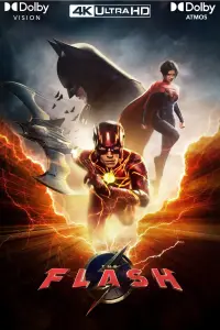 Poster to the movie "The Flash" #163894