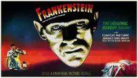 Backdrop to the movie "Frankenstein" #85944