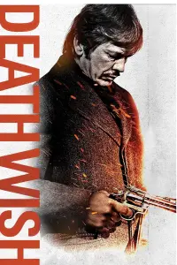 Poster to the movie "Death Wish" #254911