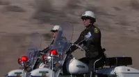 Backdrop to the movie "Electra Glide in Blue" #459466